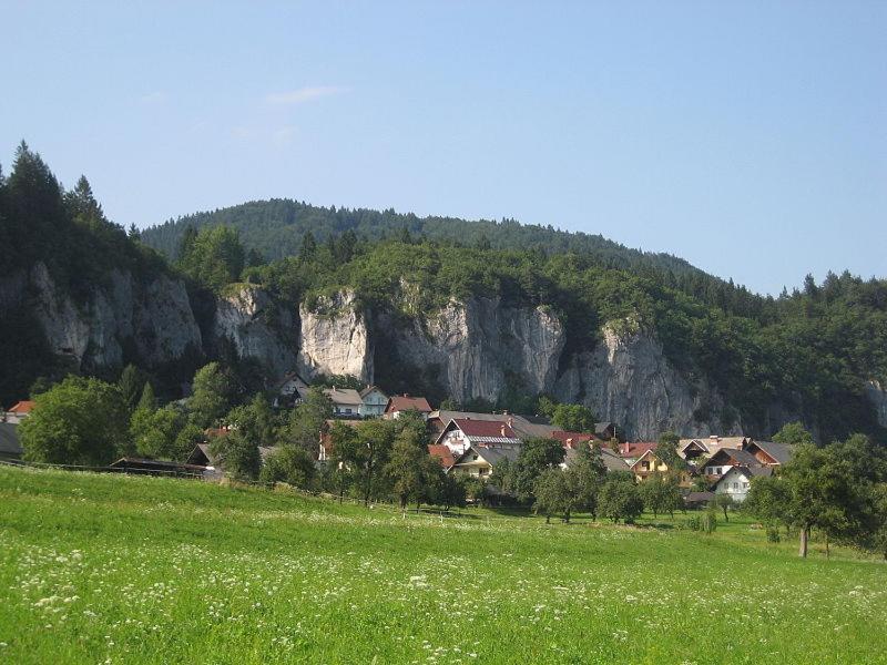 Ferienwohnung Apartma Pr' Stengarju Bohinjska Bela Exterior foto